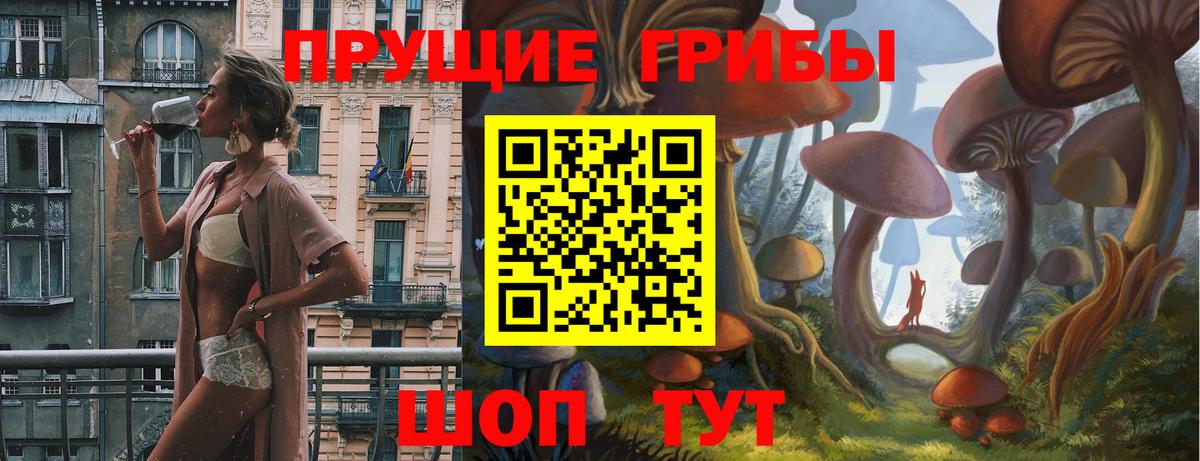 Псилоцибиновые грибы MAGIC MUSHROOMS Звенигород