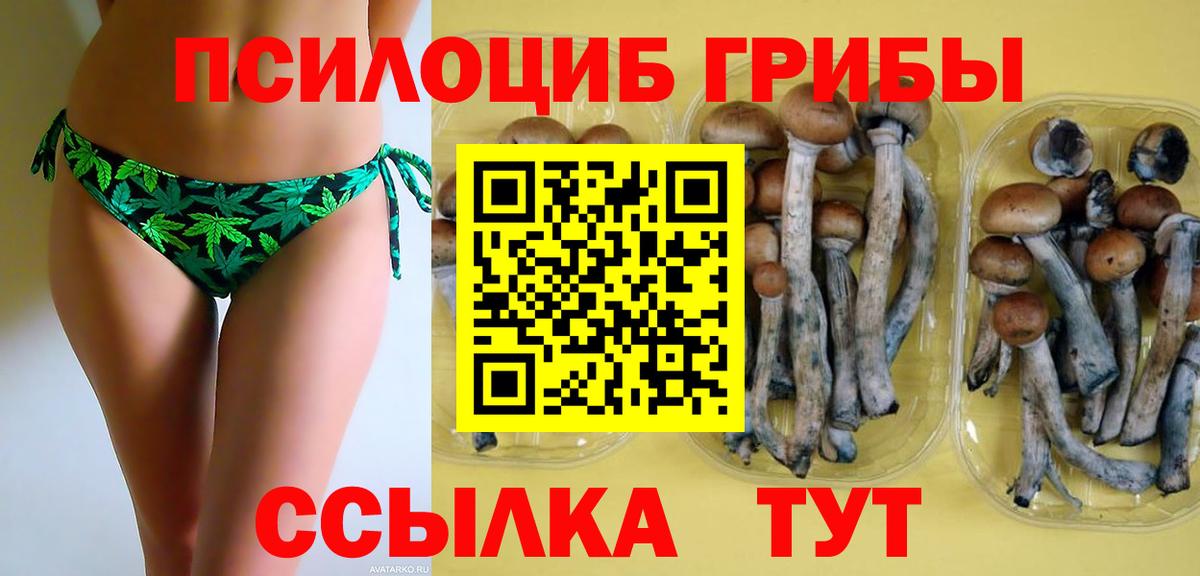 купить наркотик  Псилоцибиновые грибы Psilocybe  Вход с VPN  Звенигород 